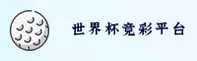 【官方】2025世界杯足球彩票怎么买？认准官方站正版入口
